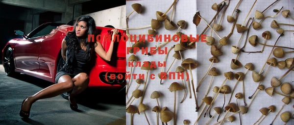 соль ск Няндома