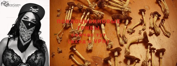 2c-b Нягань