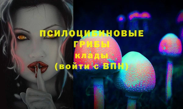2c-b Нягань