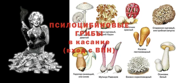 гидра Абдулино